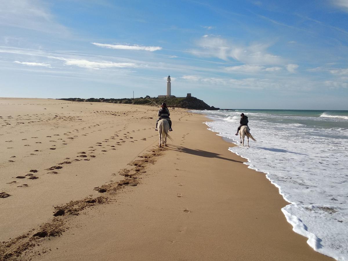 Viviendas Turisticas El Mero زاهورا المظهر الخارجي الصورة